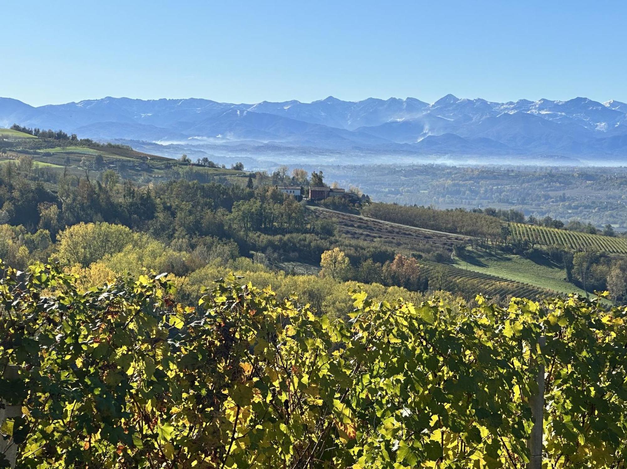 Willa Just Langhe Casa Barolo Novello Zewnętrze zdjęcie