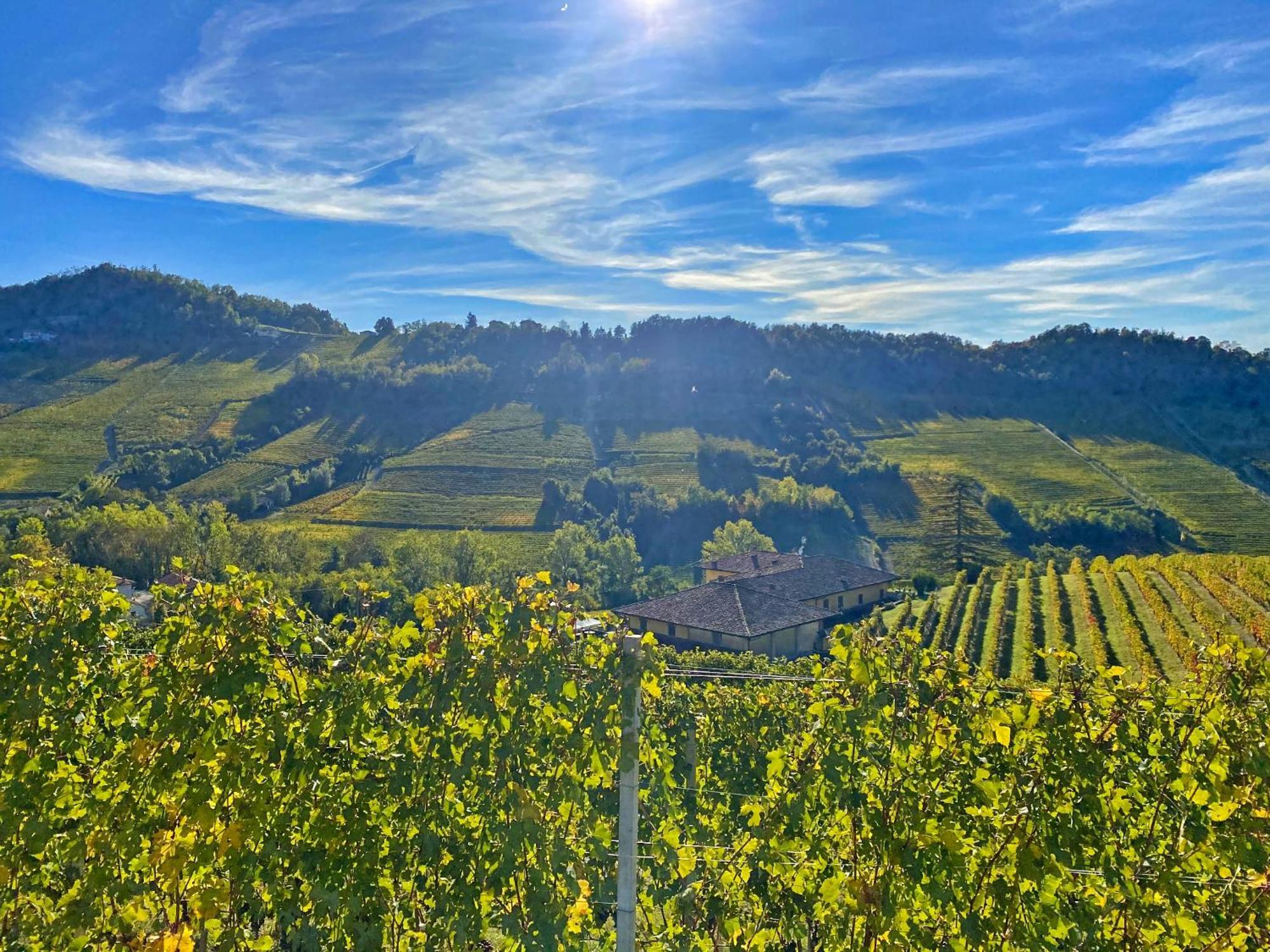 Willa Just Langhe Casa Barolo Novello Zewnętrze zdjęcie